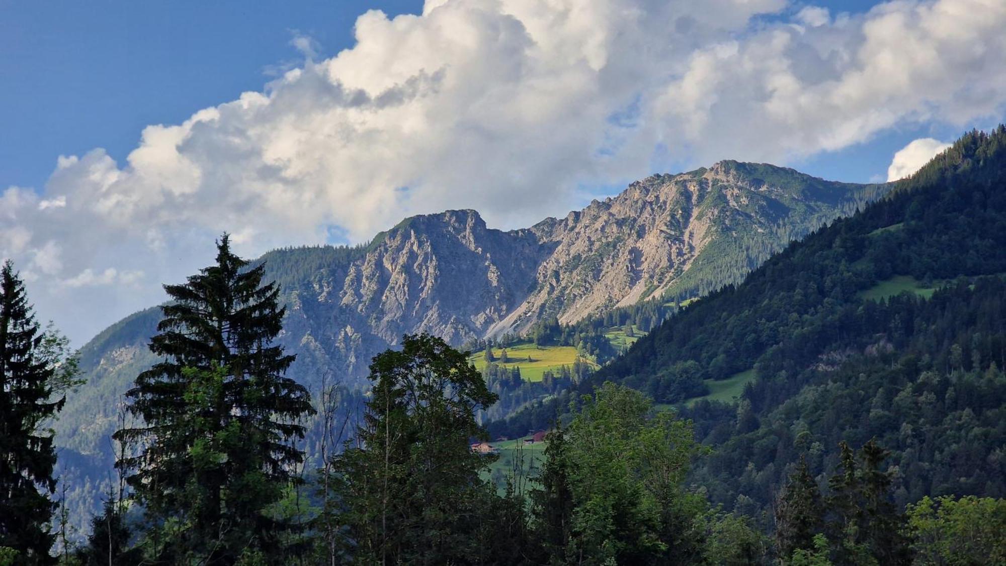 Homy Montavista - 300M Zur Golmerbahn Vandans Bagian luar foto